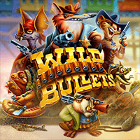 Wild Bullets game cover